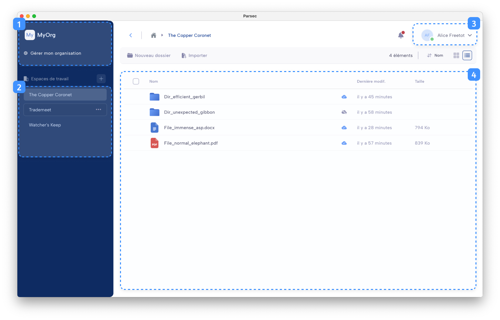 Parsec graphical user interface overview