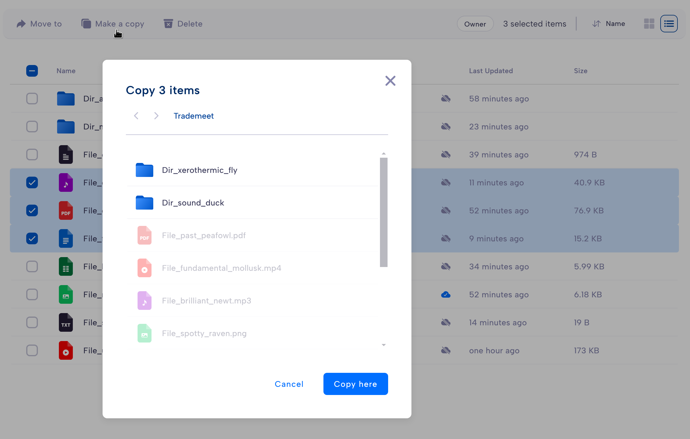 copy files screenshot