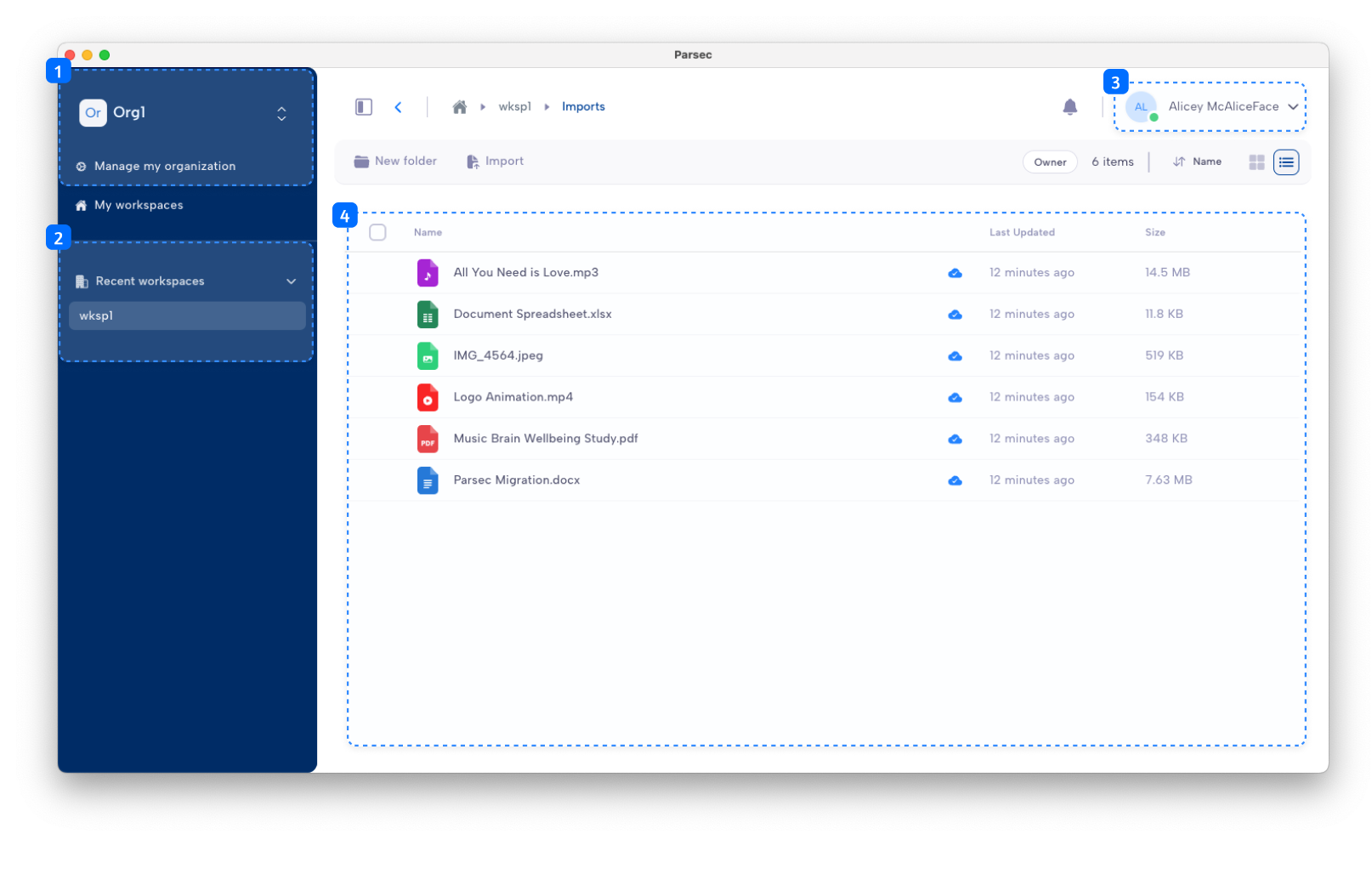 Parsec graphical user interface overview